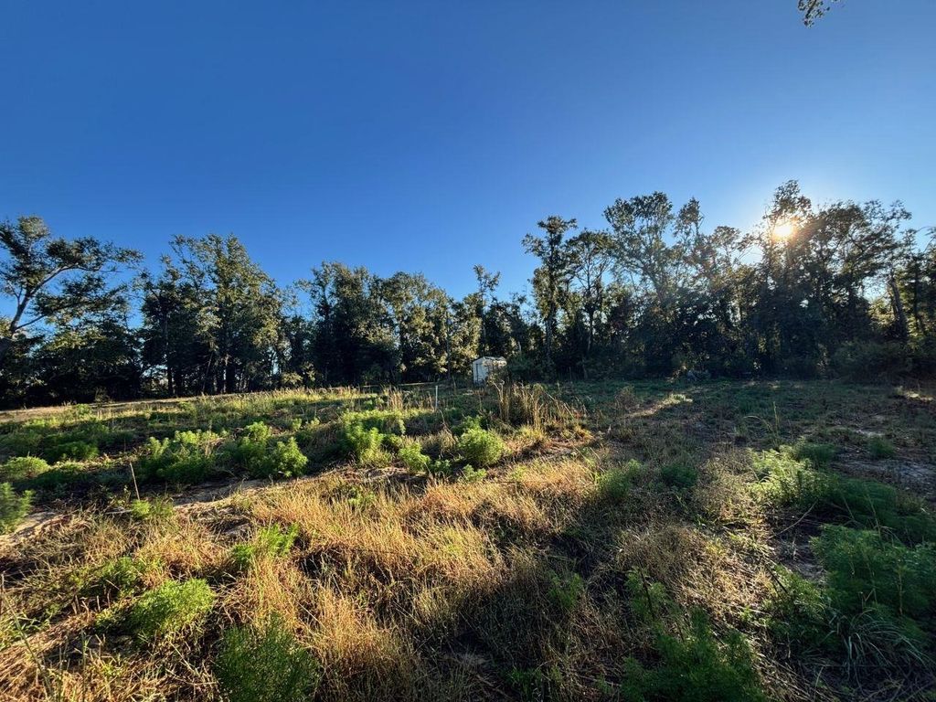 Photo of 515 NE Willow Bend Terrace, Lee, FL 32059 (MLS # 382456)