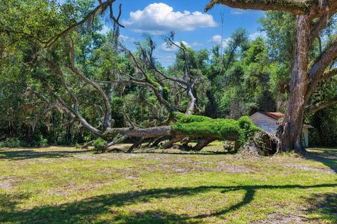 Tiny photo for 1997 N Us 221, Perry, FL 32347 (MLS # 399511)