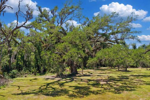 Tiny photo for 1997 N Us 221, Perry, FL 32347 (MLS # 399511)