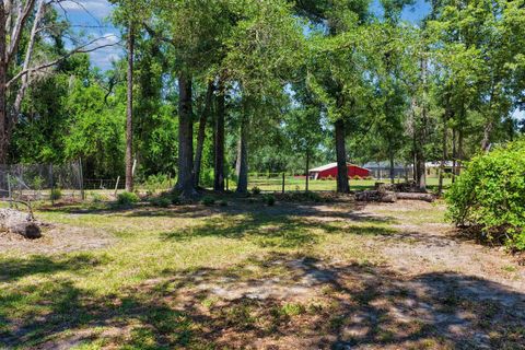 Tiny photo for 1997 N Us 221, Perry, FL 32347 (MLS # 399511)