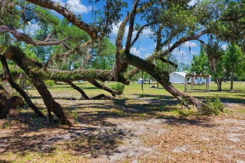 Tiny photo for 1997 N Us 221, Perry, FL 32347 (MLS # 399511)