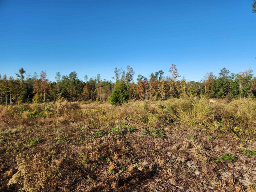Photo of XXX NE SR 20, Hosford, FL 32334 (MLS # 392805)