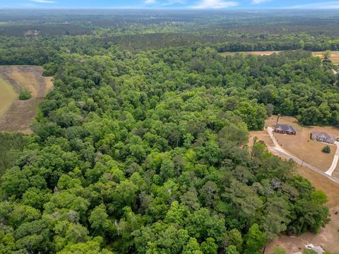 Tiny photo for XX Red Bird Road, Quincy, FL 32351 (MLS # 399087)