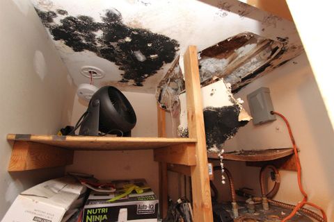 Tiny photo for 408 Perkins Street, Tallahassee, FL 32301 (MLS # 393636)