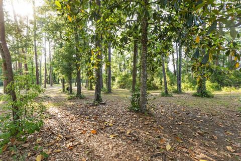 Tiny photo for 1637 N Jefferson Highway, Monticello, FL 32344 (MLS # 399473)