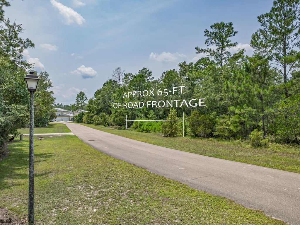 Photo of xxx Old Palmetto Path, St Marks, FL 32355 (MLS # 403075)