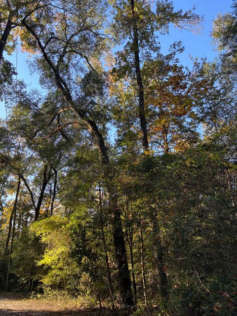 xxx Bluebird Lane Crawfordville FL 32327