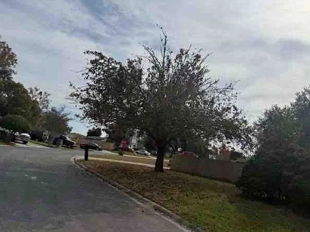 Photo of 560 Edward Rutledge Street, Other Florida, FL 32073 (MLS # 399193)