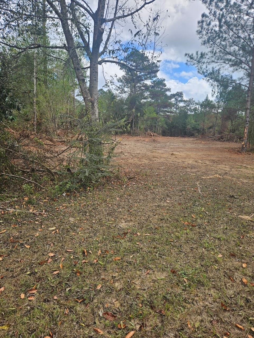 13958 Blue Star Highway