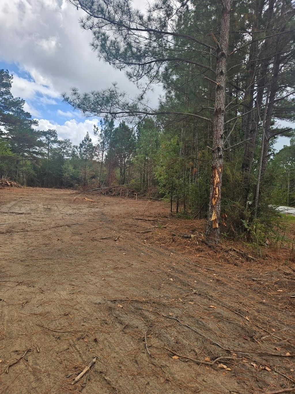 Photo of 13958 Blue Star Highway, Gretna, FL 32332 (MLS # 392116)