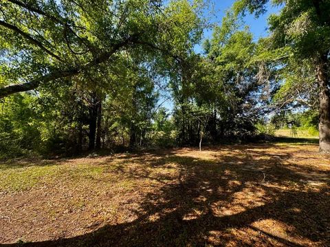 Tiny photo for 496 NE Centaury Way, Lee, FL 32059 (MLS # 399109)