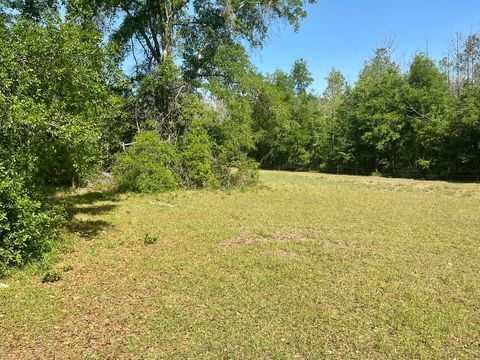 Tiny photo for 496 NE Centaury Way, Lee, FL 32059 (MLS # 399109)
