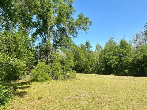Tiny photo for 496 NE Centaury Way, Lee, FL 32059 (MLS # 399109)