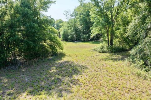 Photo of 496 NE Centaury Way, Lee, FL 32059 (MLS # 399109)