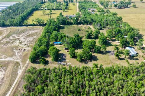 Tiny photo for 496 NE Centaury Way, Lee, FL 32059 (MLS # 399109)