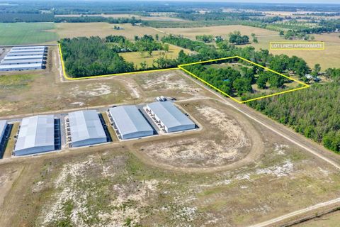 Tiny photo for 496 NE Centaury Way, Lee, FL 32059 (MLS # 399109)