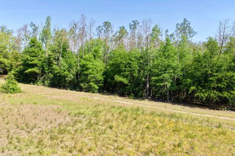 Tiny photo for 496 NE Centaury Way, Lee, FL 32059 (MLS # 399109)