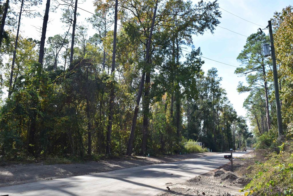 Photo of Powhatan Street, Crawfordville, FL 32327 (MLS # 393261)