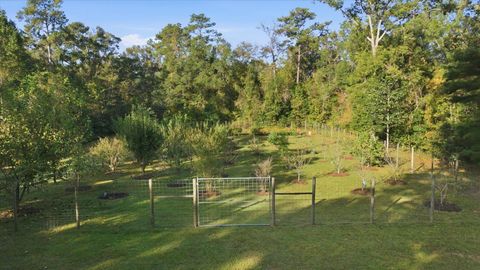 Tiny photo for 9555 Yashuntafun Road, Tallahassee, FL 32311 (MLS # 393080)