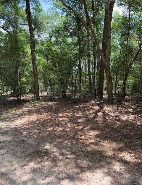 Tiny photo for 8043 Baby Farm Drive, Tallahassee, FL 32310 (MLS # 402181)