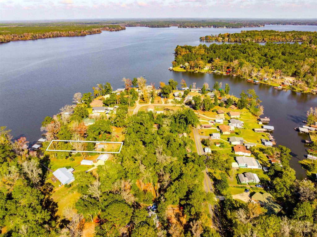 Photo of 24163 Lone Star Road, Tallahassee, FL 32310 (MLS # 402098)