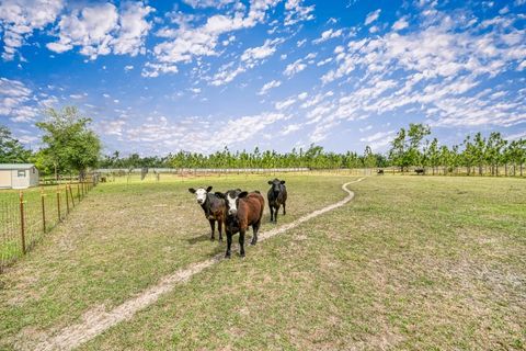 Tiny photo for 1752 SE ROGERS SINK Road, Madison, FL 32340 (MLS # 399349)
