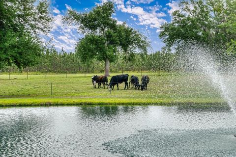 Tiny photo for 1752 SE ROGERS SINK Road, Madison, FL 32340 (MLS # 399349)