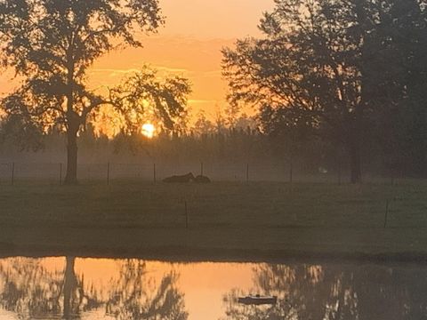 Tiny photo for 1752 SE ROGERS SINK Road, Madison, FL 32340 (MLS # 399349)