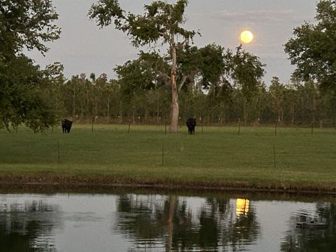 Tiny photo for 1752 SE ROGERS SINK Road, Madison, FL 32340 (MLS # 399349)