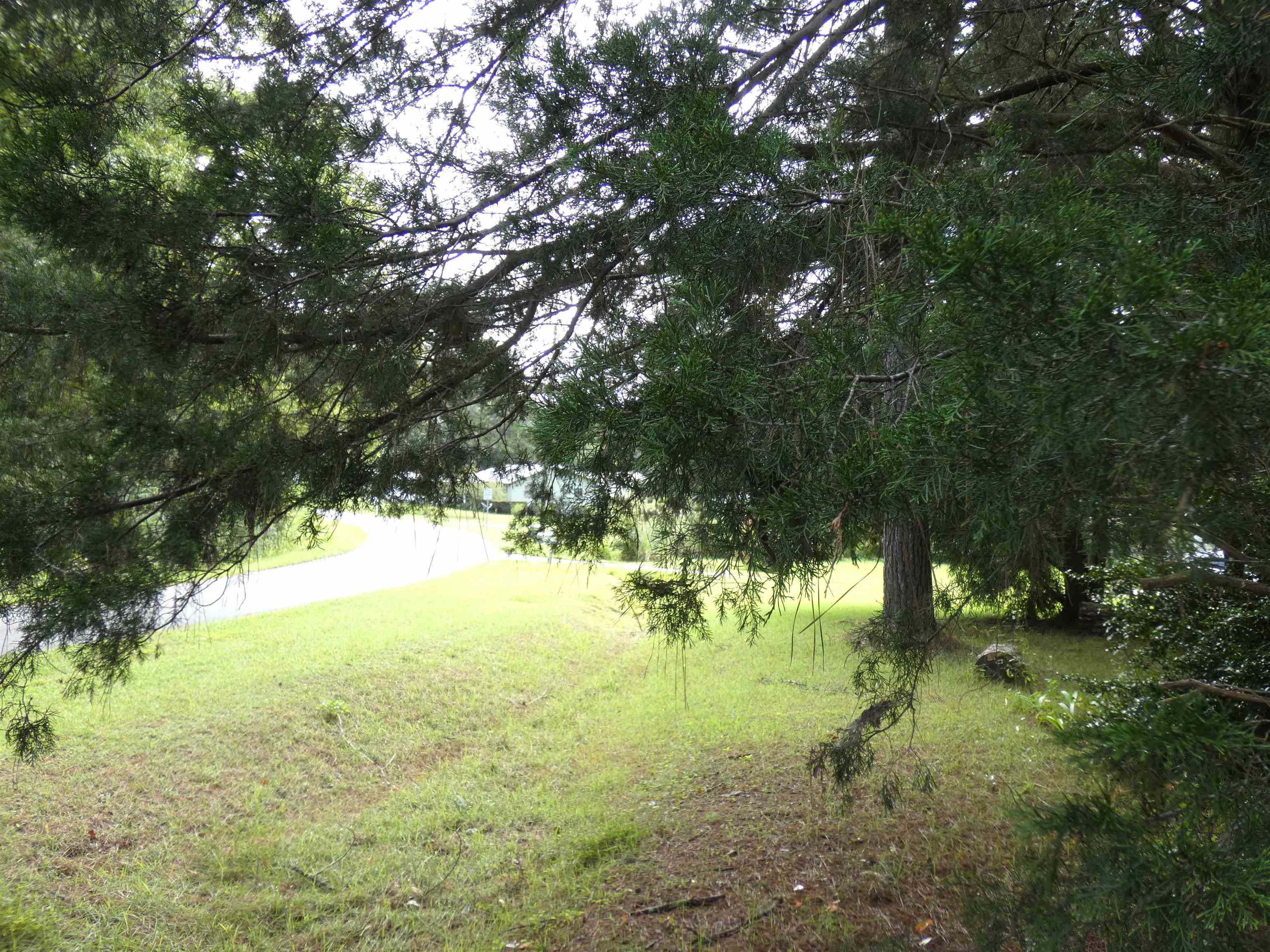 TBD Spring Hollow Drive