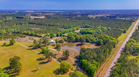 Tiny photo for 14173 Ga Hwy 188, Coolidge, GA 31738 (MLS # 397683)