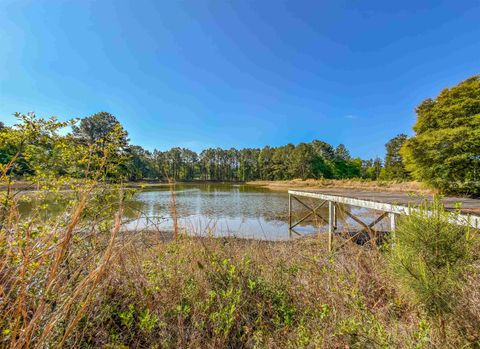 Tiny photo for 14173 Ga Hwy 188, Coolidge, GA 31738 (MLS # 397683)