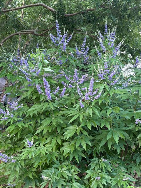 Tiny photo for 1363 HIDDEN TIMBERS Place, Tallahassee, FL 32312 (MLS # 397838)