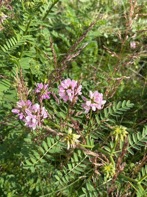 Tiny photo for 1363 HIDDEN TIMBERS Place, Tallahassee, FL 32312 (MLS # 397838)