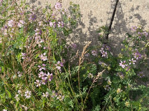 Tiny photo for 1363 HIDDEN TIMBERS Place, Tallahassee, FL 32312 (MLS # 397838)