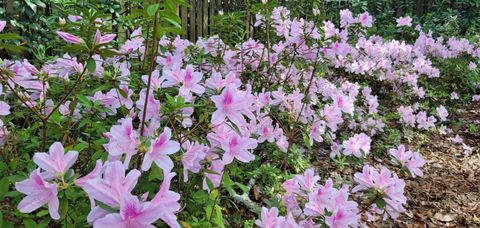 Tiny photo for 1363 HIDDEN TIMBERS Place, Tallahassee, FL 32312 (MLS # 397838)