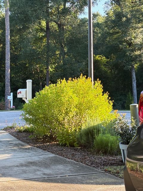 Tiny photo for 1363 HIDDEN TIMBERS Place, Tallahassee, FL 32312 (MLS # 397838)