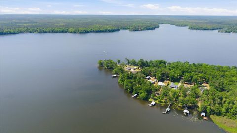 Tiny photo for 22545 FRANCES Way, Tallahassee, FL 32310 (MLS # 399046)