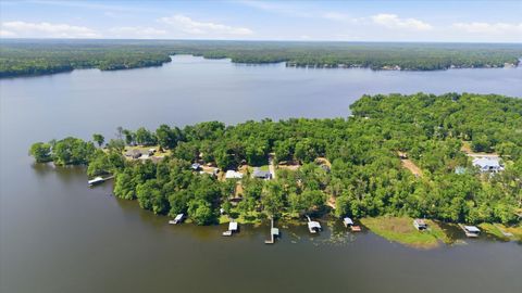 Tiny photo for 22545 FRANCES Way, Tallahassee, FL 32310 (MLS # 399046)