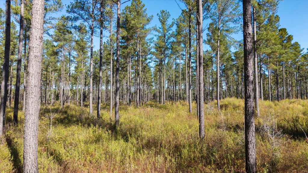 Photo of 0 Mahan Drive, Tallahassee, FL 32317 (MLS # 392955)