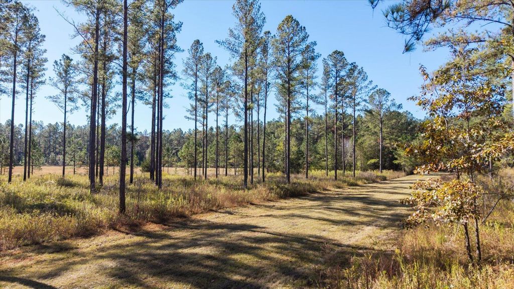 Photo of 0 Mahan Drive, Tallahassee, FL 32317 (MLS # 392955)