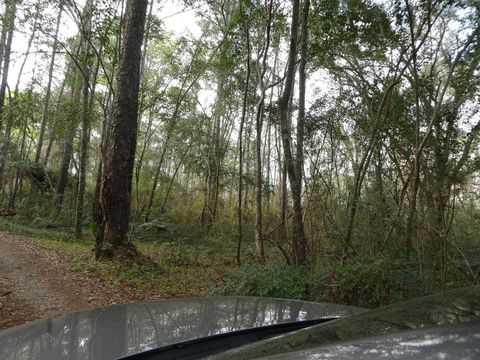 Tiny photo for 7091 THOMASVILLE Road, Tallahassee, FL 32312 (MLS # 390502)