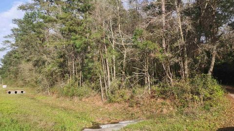 Tiny photo for 7091 THOMASVILLE Road, Tallahassee, FL 32312 (MLS # 390502)