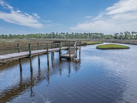 45 TURTLE CREEK LN, PANACEA, FL 32346 - Image a996b2f9a22a21623205a03c61e4e427/3987635388
