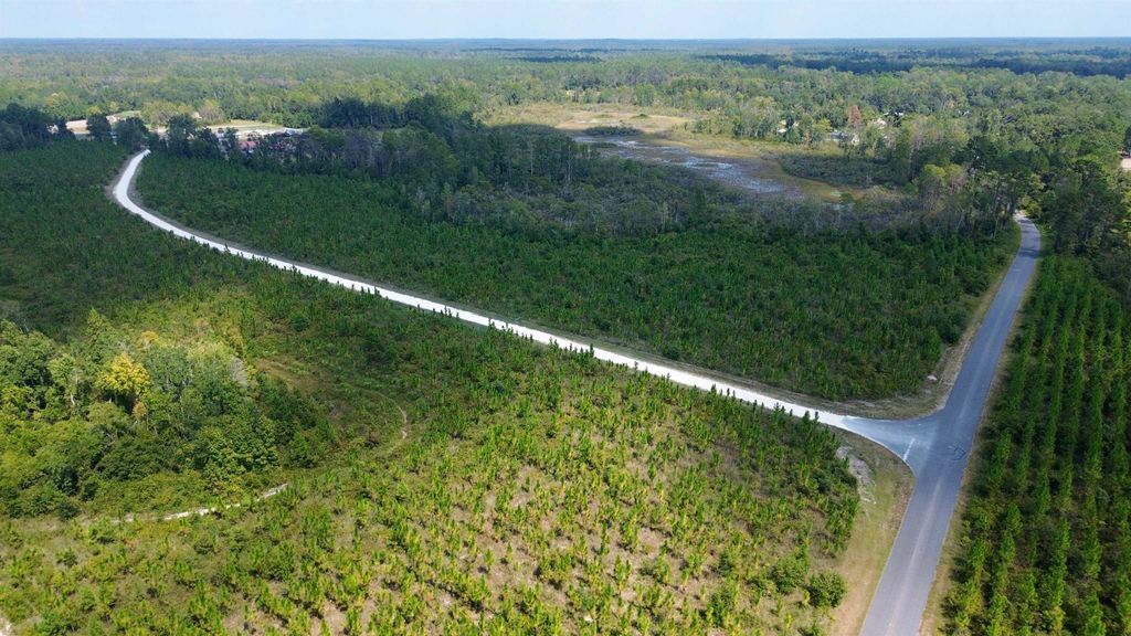 Photo of Lot 4 SW Wakulla Way, Greenville, FL 32331 (MLS # 391336)