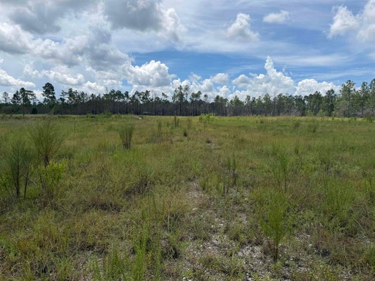 ADDRESS PRIVATE, SUMATRA, FL 32335 - Image aa0ad450135f740538ddc38dcd30e2c8/3637611281