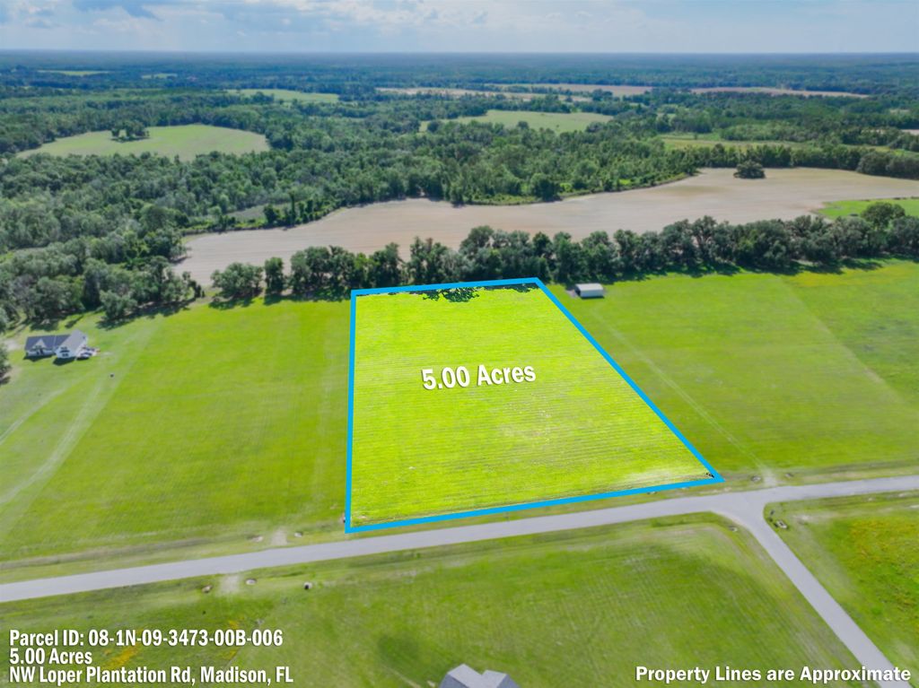 Photo of 0 NW Loper Plantation Rd., Madison, FL 32340 (MLS # 400297)
