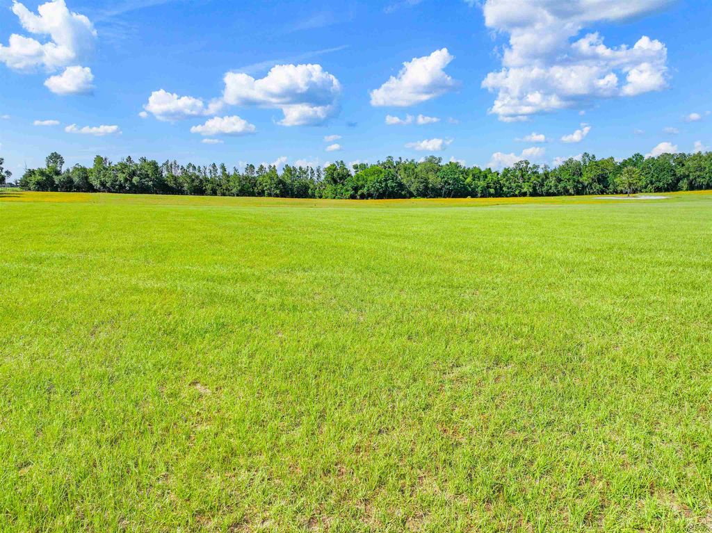 Photo of 0 NW Loper Plantation Rd., Madison, FL 32340 (MLS # 400297)