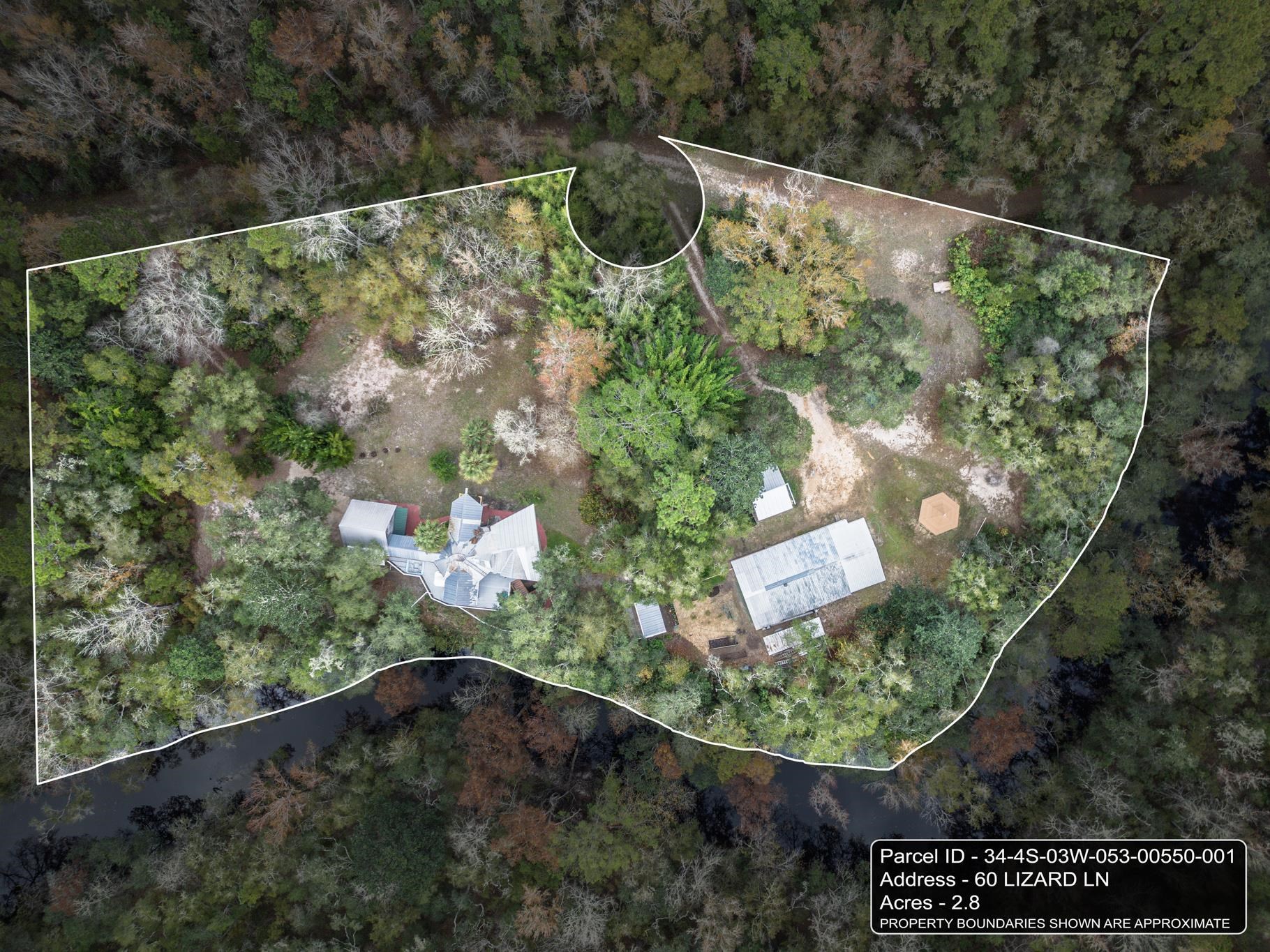 60 Lizard Lane