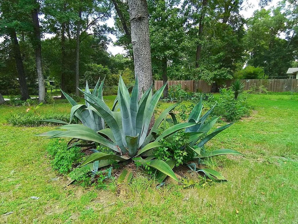 listing image 30